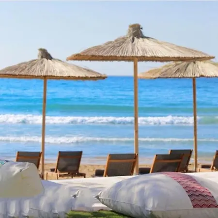 Alghero A Charming Villa With Swimming Pool, Wifi, Park, For 6 People Villa Alghero